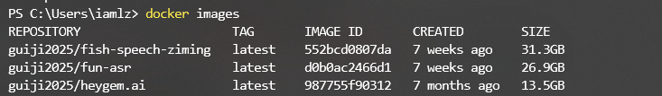 image-20250429235102687